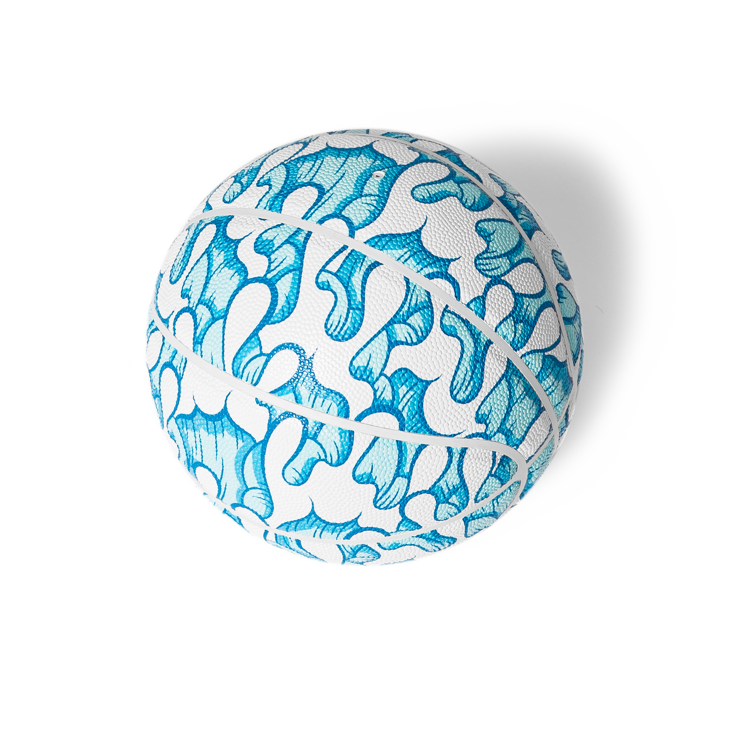 Good Looks x Aaron Kai Blue Basketball 01