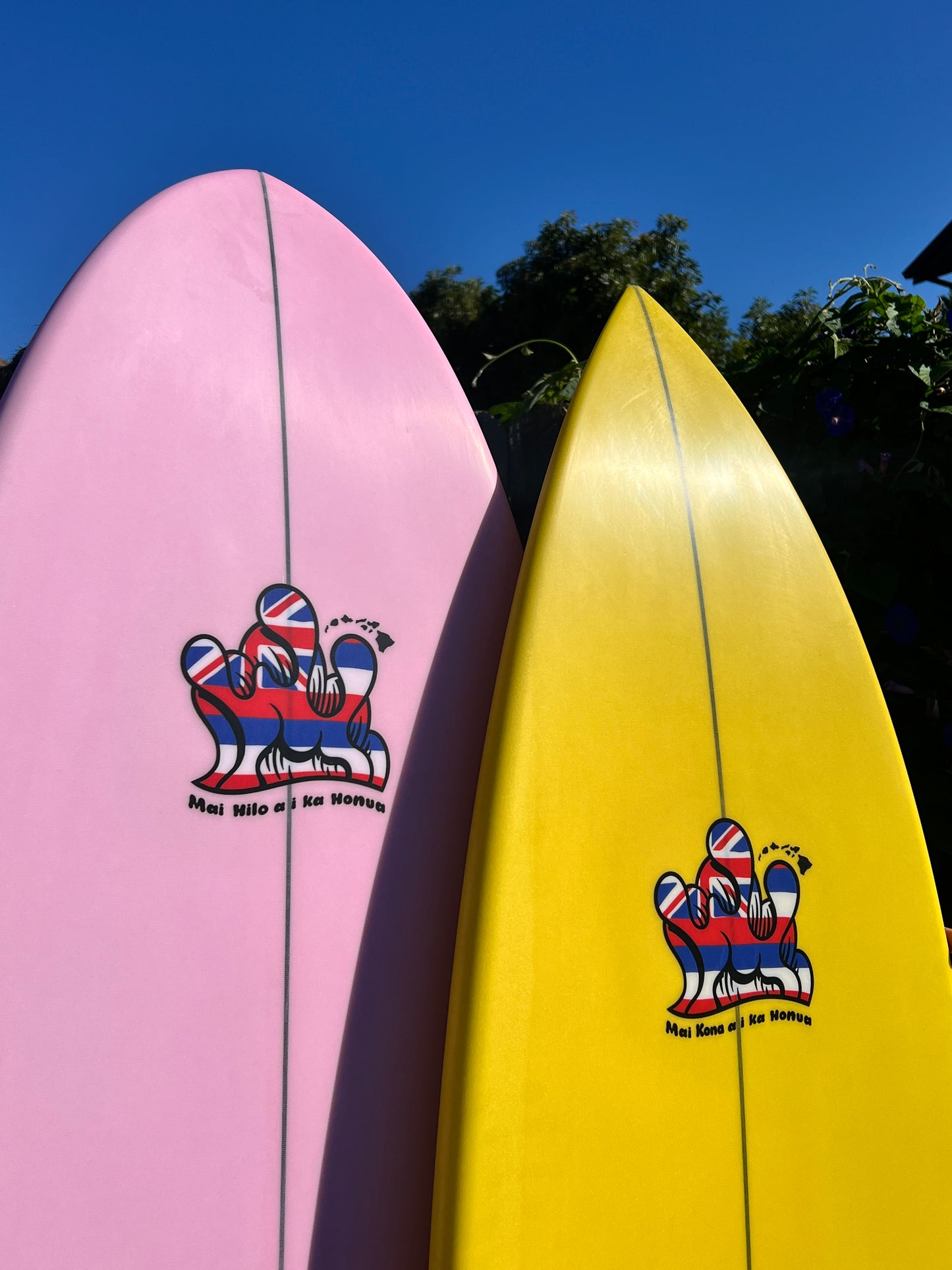Aaron Kai "Hilo" Surfboard