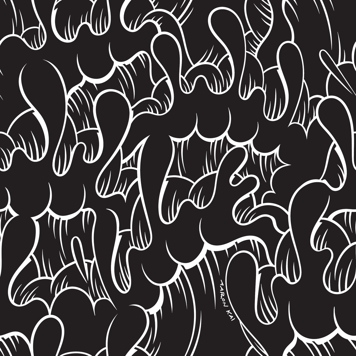 C+S x Aaron Kai - Black Palaka