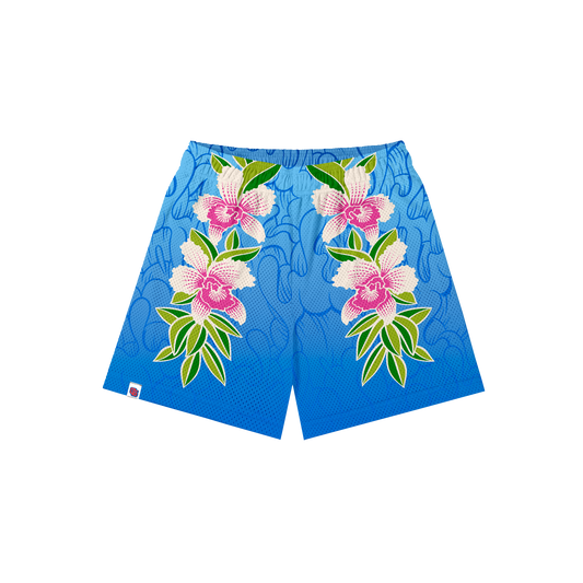 C+S x Aaron Kai - Hawai'i Phone Booth (Blue)