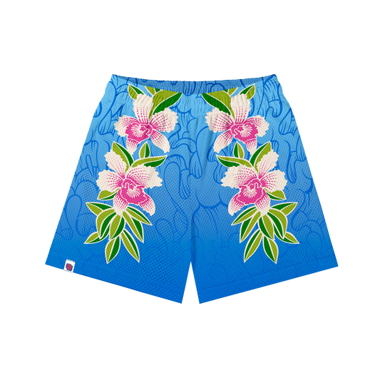 C+S x Aaron Kai - Hawai'i Phone Booth (Blue)
